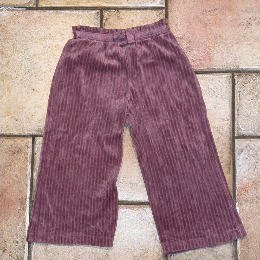 Zara Plum colored velour corduroy Wide-Leg Pants